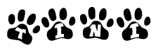 The image shows a row of animal paw prints, each containing a letter. The letters spell out the word Tini within the paw prints.
