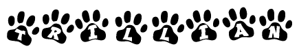 The image shows a series of animal paw prints arranged in a horizontal line. Each paw print contains a letter, and together they spell out the word Trillian.