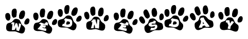 The image shows a series of animal paw prints arranged in a horizontal line. Each paw print contains a letter, and together they spell out the word Wednesday.