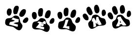 The image shows a series of animal paw prints arranged horizontally. Within each paw print, there's a letter; together they spell Zelma