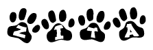 The image shows a row of animal paw prints, each containing a letter. The letters spell out the word Zita within the paw prints.