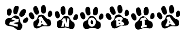 The image shows a series of animal paw prints arranged horizontally. Within each paw print, there's a letter; together they spell Zanobia