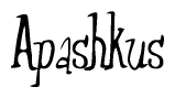 The image is of the word Apashkus stylized in a cursive script.