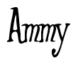 The image is of the word Ammy stylized in a cursive script.