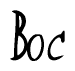 The image contains the word 'Boc' written in a cursive, stylized font.