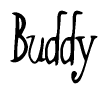 The image contains the word 'Buddy' written in a cursive, stylized font.
