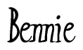 The image is of the word Bennie stylized in a cursive script.