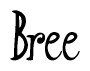 The image is a stylized text or script that reads 'Bree' in a cursive or calligraphic font.