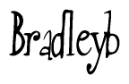 Bradleyb