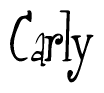 The image is of the word Carly stylized in a cursive script.