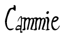 The image contains the word 'Cammie' written in a cursive, stylized font.