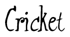 The image is of the word Cricket stylized in a cursive script.