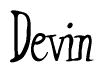 The image is of the word Devin stylized in a cursive script.