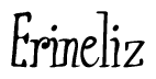 The image is a stylized text or script that reads 'Erineliz' in a cursive or calligraphic font.