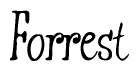 The image is of the word Forrest stylized in a cursive script.