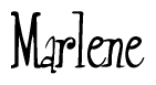 The image is a stylized text or script that reads 'Marlene' in a cursive or calligraphic font.