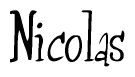 The image is of the word Nicolas stylized in a cursive script.