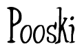 The image is of the word Pooski stylized in a cursive script.