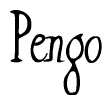 The image contains the word 'Pengo' written in a cursive, stylized font.
