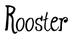 The image is a stylized text or script that reads 'Rooster' in a cursive or calligraphic font.