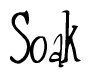 The image contains the word 'Soak' written in a cursive, stylized font.