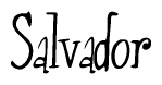The image contains the word 'Salvador' written in a cursive, stylized font.