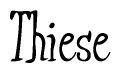 The image is of the word Thiese stylized in a cursive script.