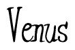 The image is of the word Venus stylized in a cursive script.
