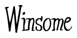 The image contains the word 'Winsome' written in a cursive, stylized font.