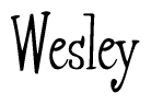 The image is a stylized text or script that reads 'Wesley' in a cursive or calligraphic font.