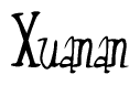 The image is of the word Xuanan stylized in a cursive script.