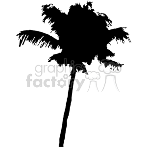 vector vinyl-ready vinyl ready cutter eps jpg gif png tree trees nature black white profile silhouette silhouettes palmtree palmtrees palm tropical