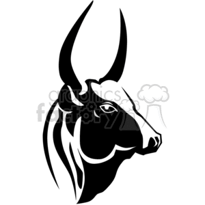 Close-up of a Texas Longhorn bull clipart. Commercial use image # 374733