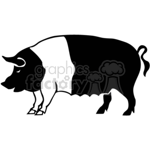 pig pigs farm animals pork vector vinyl-ready black white