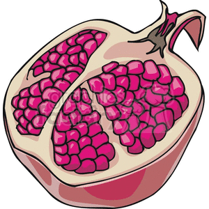 pomegranate fruit clipart. Commercial use image # 383089