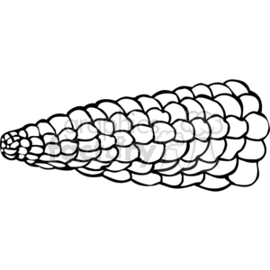 clipart - corn on the cob outline.