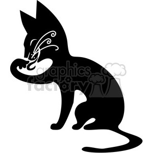 black cats white animals feline kitten pet licking cleaning