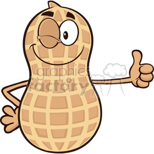 8735 Royalty Free RF Clipart Illustration Winking Peanut Cartoon Mascot Character Giving A Thumb Up Vector Illustration Isolated On White clipart.