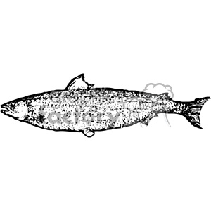 vintage distressed salmon fish GF vector design vintage 1900 vector art GF clipart. Royalty-free image # 402423