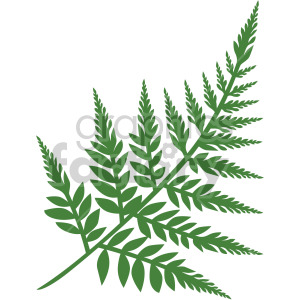 rowan branch clipart. Commercial use image # 408037