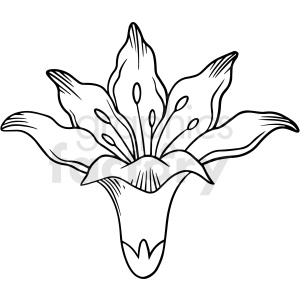 black and white lily flower clipart clipart. Commercial use image # 411540
