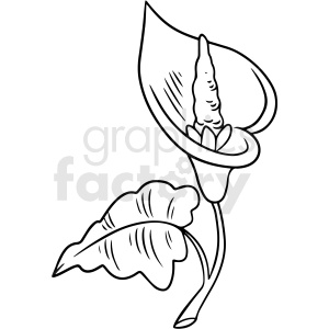 black and white corpse flower vector clipart .
