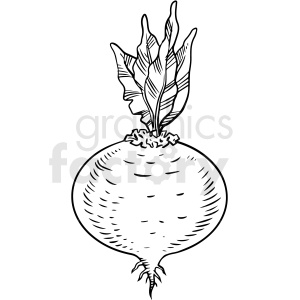 black and white cartoon radish vector clipart clipart. Royalty-free image # 411740