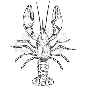 black and white lobster vector clipart clipart. Commercial use image # 412715