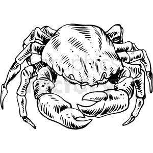 black and white realistic crab vector clipart