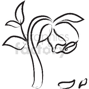 black and white rose vector clipart clipart. Commercial use image # 413329