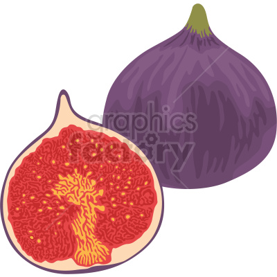 fruit fig