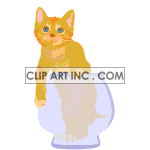   cat cats feline felines kitten kittens bowls bowl  0_cat017.gif Animations 2D Animals Cats 