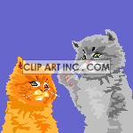 cat-012 animation. Commercial use animation # 119195