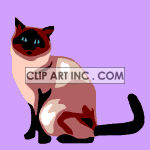 cat-026 animation. Commercial use animation # 119209